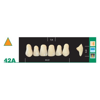 Major Plus Superior Anterior - 4-LAYER ACRYLIC TEETH