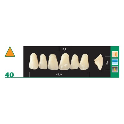 Major Plus Superior Anterior - 4-LAYER ACRYLIC TEETH
