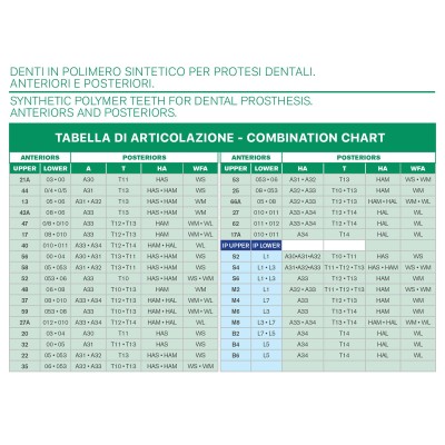 Major Plus Superior Anterior - 4-LAYER ACRYLIC TEETH