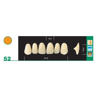Major Plus Superior Anterior - 4-LAYER ACRYLIC TEETH