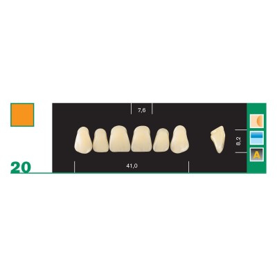Major Plus Superior Anterior - 4-LAYER ACRYLIC TEETH