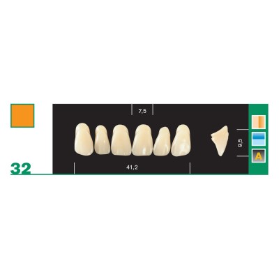 Major Plus Superior Anterior - 4-LAYER ACRYLIC TEETH