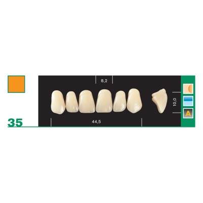 Major Plus Superior Anterior - 4-LAYER ACRYLIC TEETH