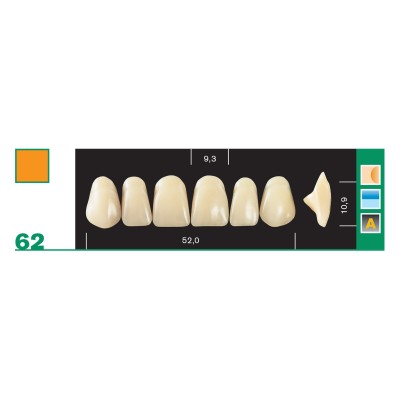 Major Plus Superior Anterior - 4-LAYER ACRYLIC TEETH