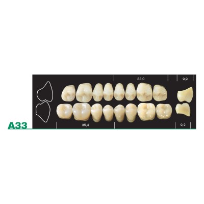 Major Plus Lower Posterior - 4-LAYER ACRYLIC TEETH